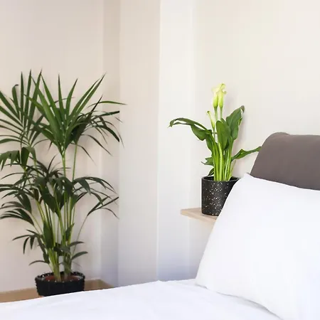 Casa Mona, Corfu Town Apartment